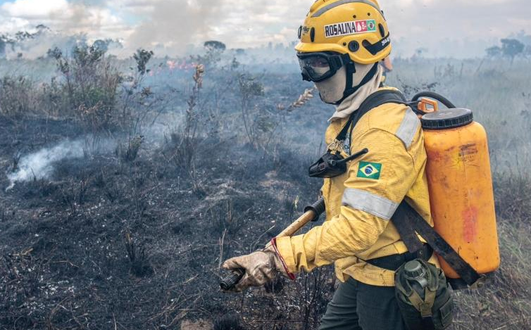 A Secretaria de Meio Ambiente e Sustentabilidade do Pará (SEMAS-PA) publicou edital com 201 vagas temporárias para brigadistas florestais.